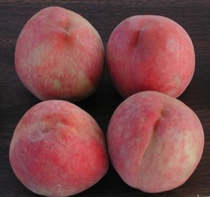 'Flordaglow' Peach
