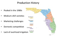 Production history