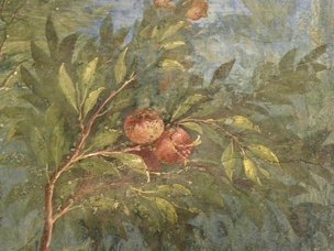Pomegranate tree-House of Livia Mural