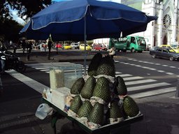 oursop for sale in Bogotá on the corner of Avenida Chile and Carrera 13