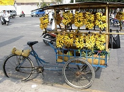 Banana vendor in Vietnam
