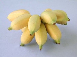 Banana Viente