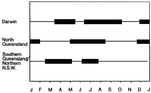 1. The peak production periods of carambola for different regions of Australia.