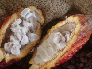 Opened fruit