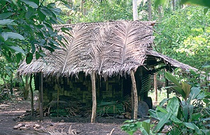 A basic structure used for force-drying cocoa in Vanuatu. Most of the building materials come from the surrounding jungle.