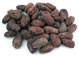Unroasted cocoa beans. The beans in this image are about actual size