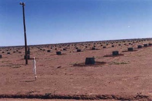 Commercial plantation of Medjool in Namibia (Naute Dam, March 1997)