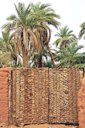 Orchard gate made with palm tree boards, Timimoun, Adrar, Algeria
