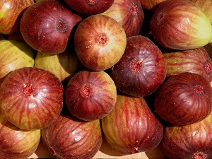 Figs