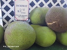 Fruit for sale near Homestead, Florida