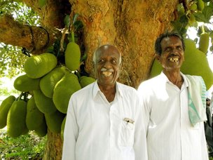These farmers in Hadonahalli village...