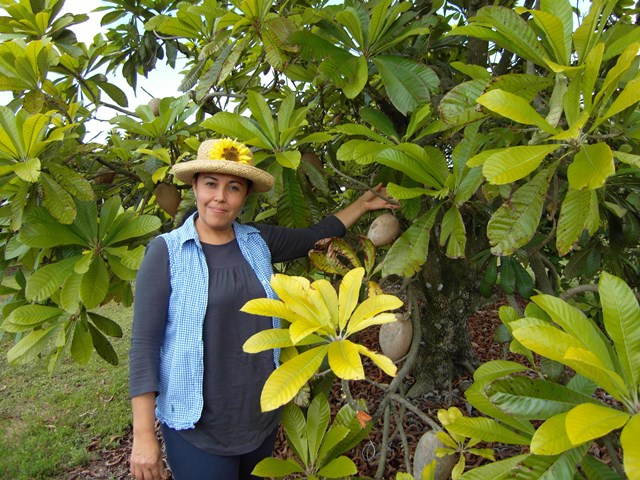 Noris Ledesma showing a sapote fruit