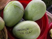 'Mandalay Yin Guay'