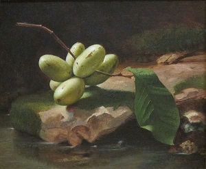 Still-life with pawpaws