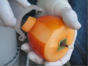 Peel the Persimmon