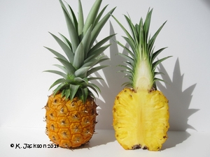 Pineapple whole and halved