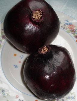 Black Pomegranate of Taft, Iran