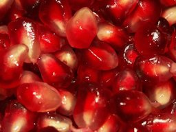 Pomegranate Seeds with their Fleshy Outgrowth (aril)