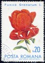 Stamp of Romania. Punika Granatum