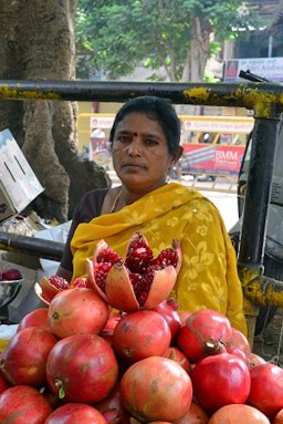 Woman selling pomegranates, Mysore