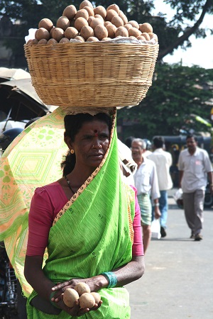Sari-clad woman in Mysore balancing a basket of chikku (or sapota; a type of fruit) on her head.