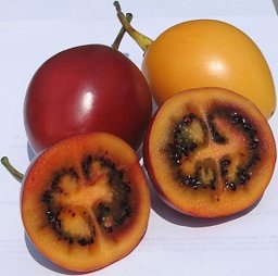 Fruit and cross section