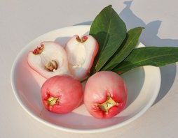 Syzygium samarangense (Java apple), edible fruit on a plate, with a cut cross section.