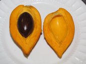 Canistel fruit in half