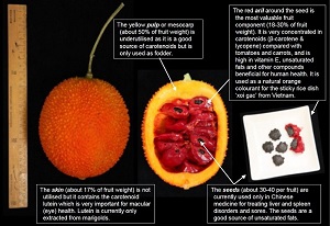 The components of a gac fruit and their properties