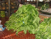 Bundles of Island Cabbage (Pele) at Nausori Market, Fiji