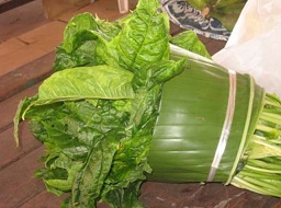 Well presented Island Cabbage bundle at Port Vila Market, Vanuatu