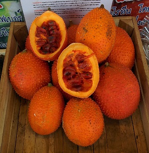 gac fruit/spiny bitter gourd/baby jackfruit (Momordica cochinchinensis)