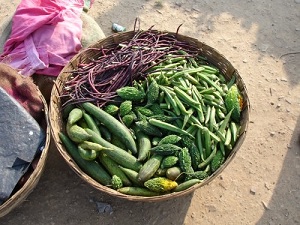 Dashera Mela at Rawan Bhata village : Local vegetables available for sell. Taroi, Barbatti, Bhindi and Karela