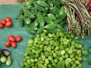 Lycopersicon esculentum, Momordica dioica, Momordica charantia, Solanum melongena, Bastar, Chhattisgarh. Weekly market